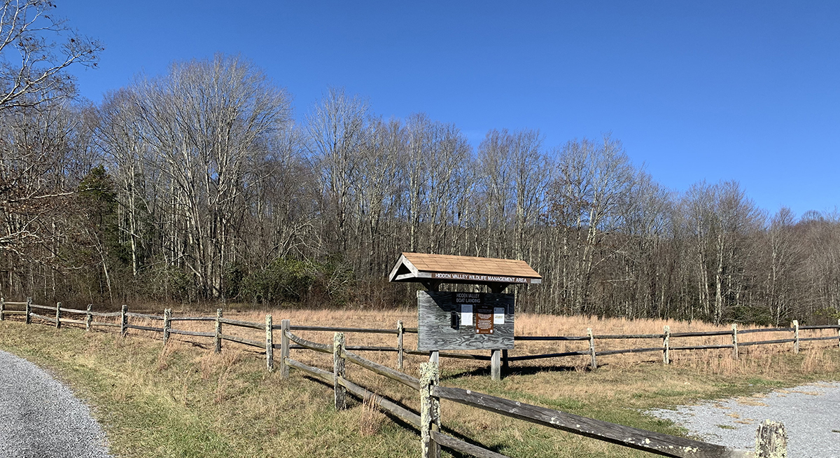 Ang hinaharap na pollinator plot sa Hidden Valley WMA pagkatapos ng paggamit ng herbicide, kung saan pinatay ang mga hindi kanais-nais na species ng halaman.