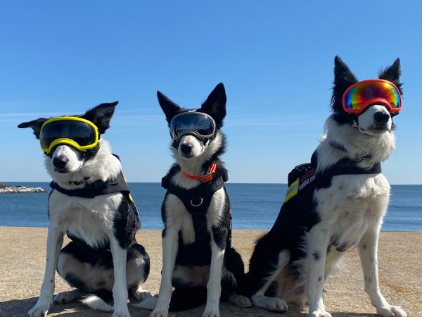 Si Flyaway Bett, Zoe at Hoop ay naka-deck out sa kanilang safety gear.