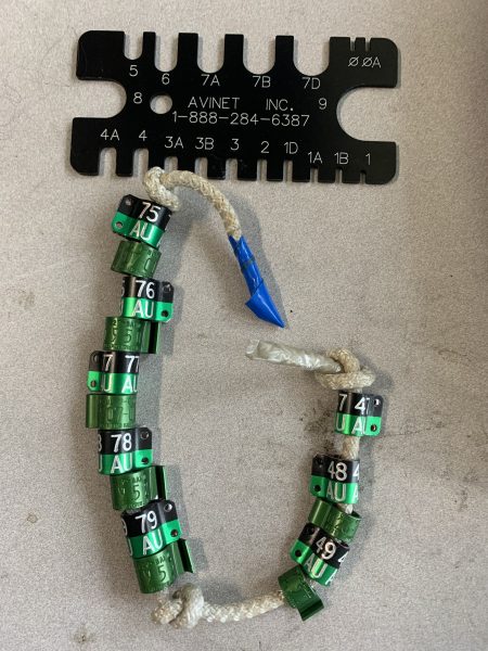 Hindi nagamit na mga banda at tool sa pagpapalaki ng binti. Ang mga babaeng peregrine falcon ay nagsusuot ng laki 7Isang banda habang ang mga lalaki ay nagsusuot ng laki ng 6 na banda.