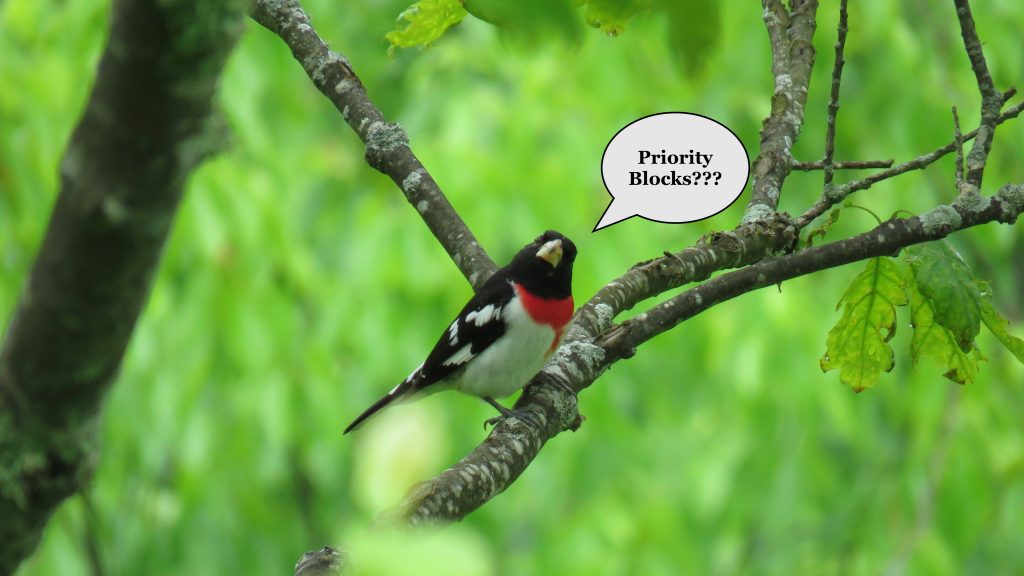 Isang larawan ng isang rose-breasted grosbeak na may speech bubble na nagsasabing "priority blocks?"