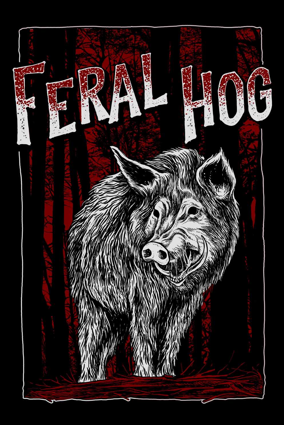 Feral Hog