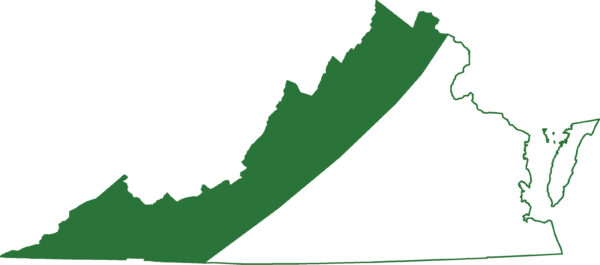 Ang salamander ng Jefferson ay matatagpuan sa buong hanay ng bundok ng Appalachian