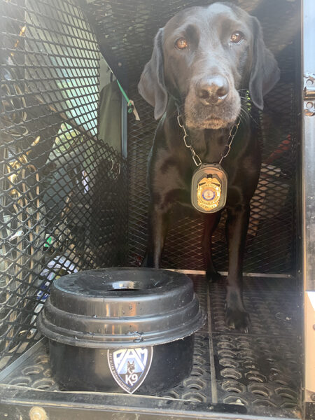 K9 Bailey ang itim na lab sa kanyang kulungan ng aso kasama ang kanyang espesyal na mangkok ng tubig na walang-spill