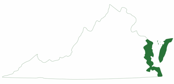 Ang sea turtle ng Kemp Ridley ay matatagpuan lamang sa ibabang silangang baybayin ng Virginia