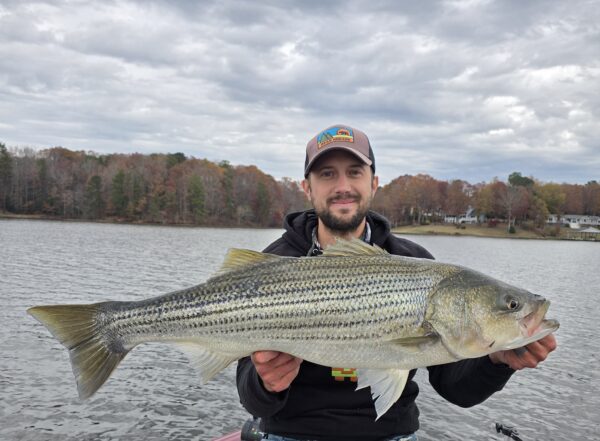 Angler na si Derek Merrick na may hawak na striped bass sa harap ng lawa.