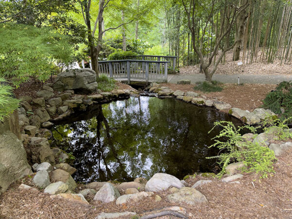 Ang Asian Valley ay isang tahimik na meditative space. Maririnig ang Eastern towhees sa likod ng kagubatan ng kawayan. Credit ng Larawan: Lisa Mease