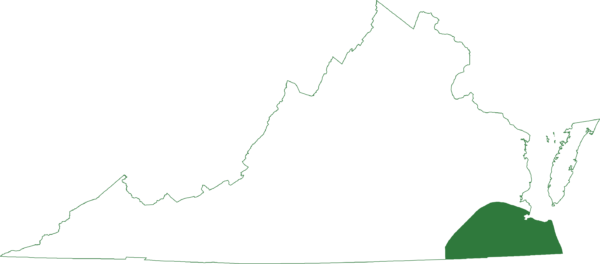 Ang maliit na palaka ng damo ay matatagpuan sa timog-silangang rehiyon ng Virginia