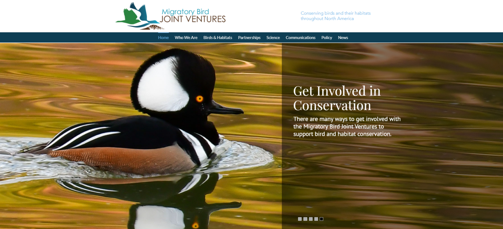 Screenshot ng homepage ng Migratory Bird Joint Ventures website