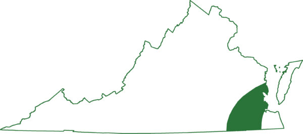 Ang Mabee salamander ay matatagpuan sa pinakatimog na mga rehiyon ng Virginia sa kahabaan ng coastal plain