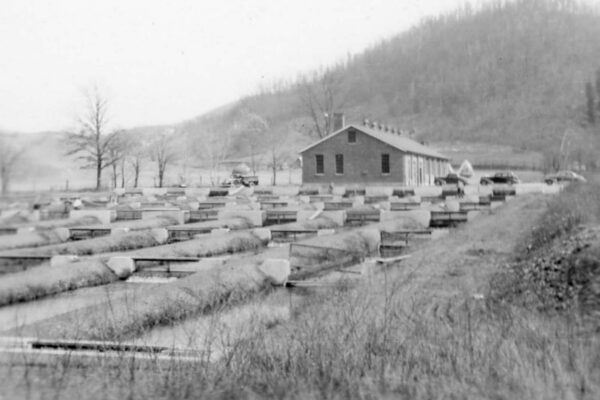 Itim at puting imahe: Makasaysayang mga raceway sa Marion Fish Hatchery
