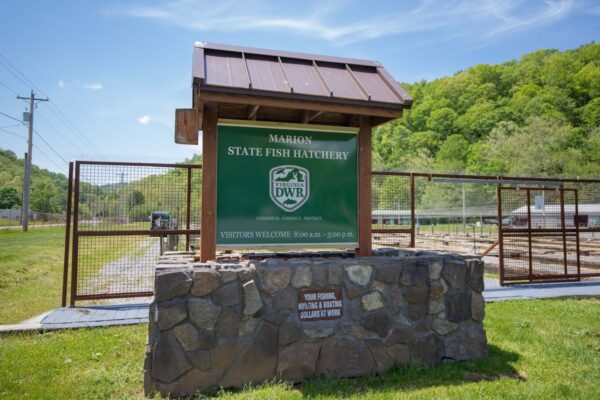 Ang Marion Fish Hatchery welcome sign