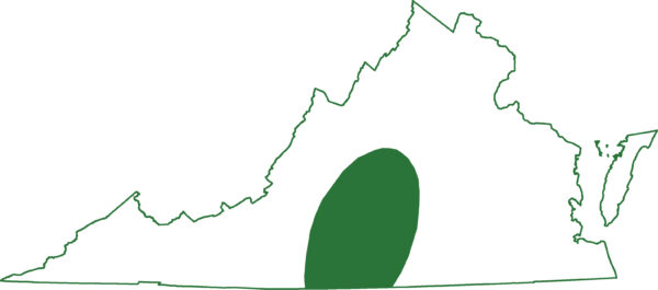 Ang mole salamander ay matatagpuan sa piedmont sa loob ng pinakasentro na mga rehiyon ng Virginia