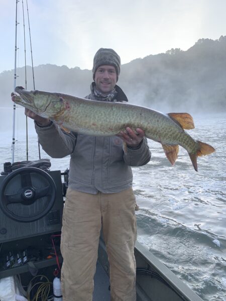 Isang imahe ng Muskellunge