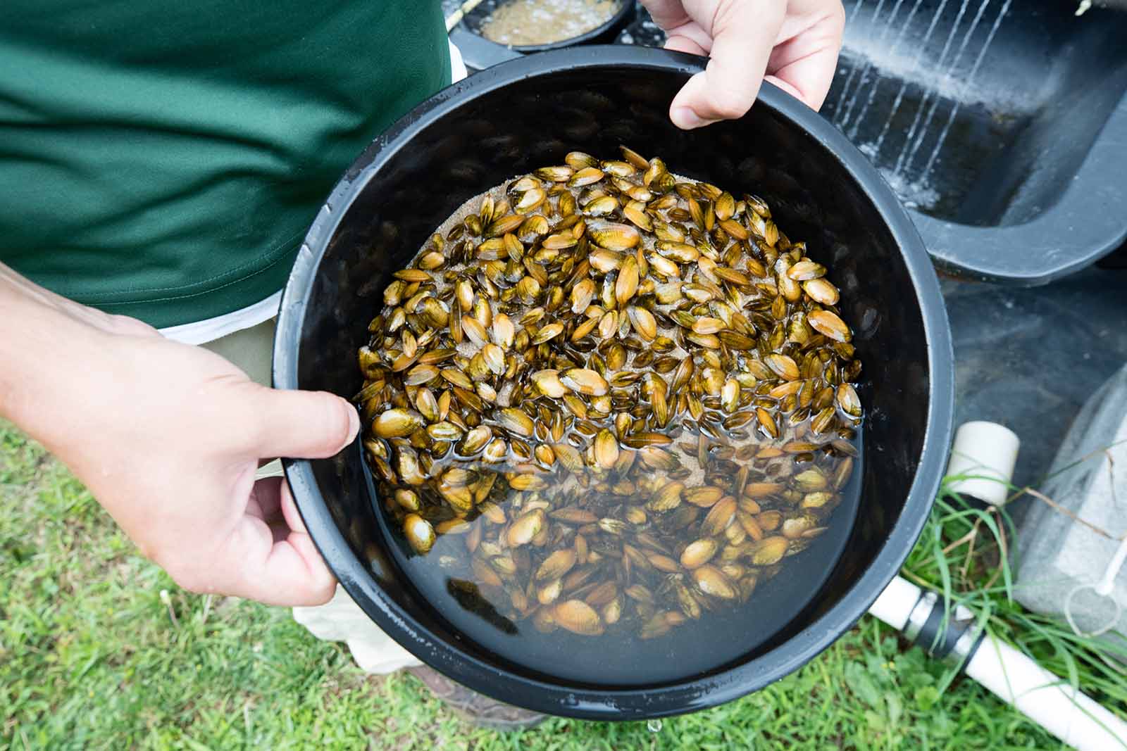 I-click para palawakin ang larawan