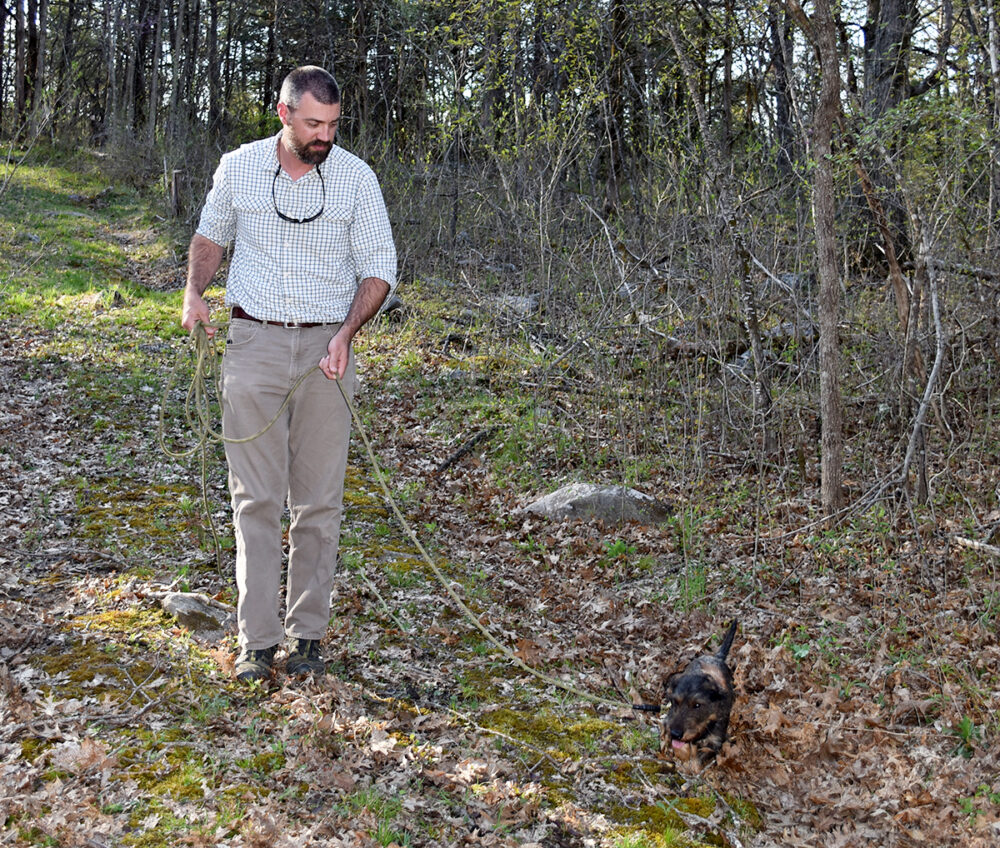 Blair Smyth at Enzo ang terrier tracking. 