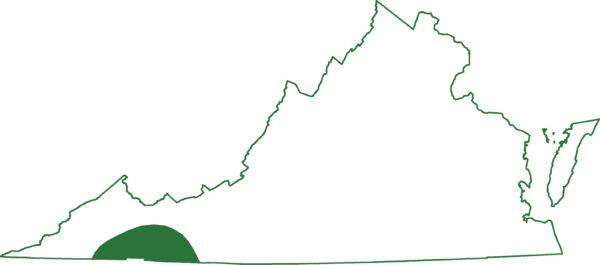 Ang Northern Pygmy salamander ay matatagpuan sa isang solong rehiyon ng Virginia