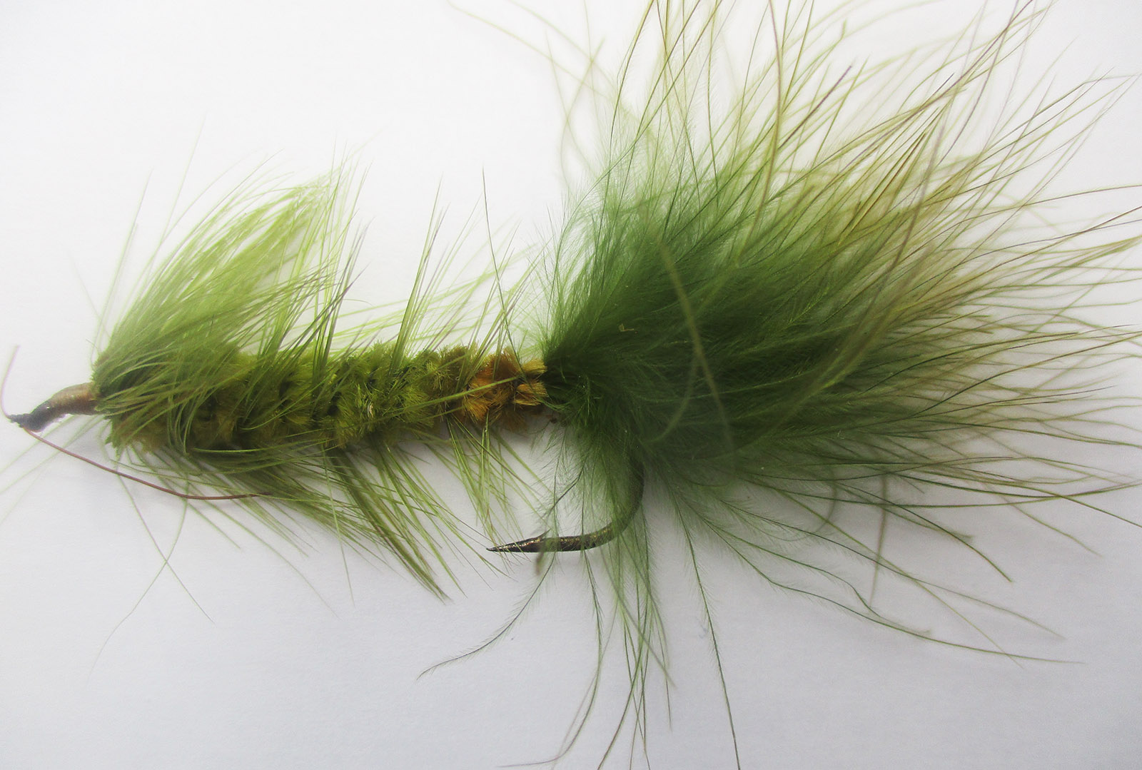 Isang close-up na larawan ng isang berde at malambot na langaw sa pangingisda.