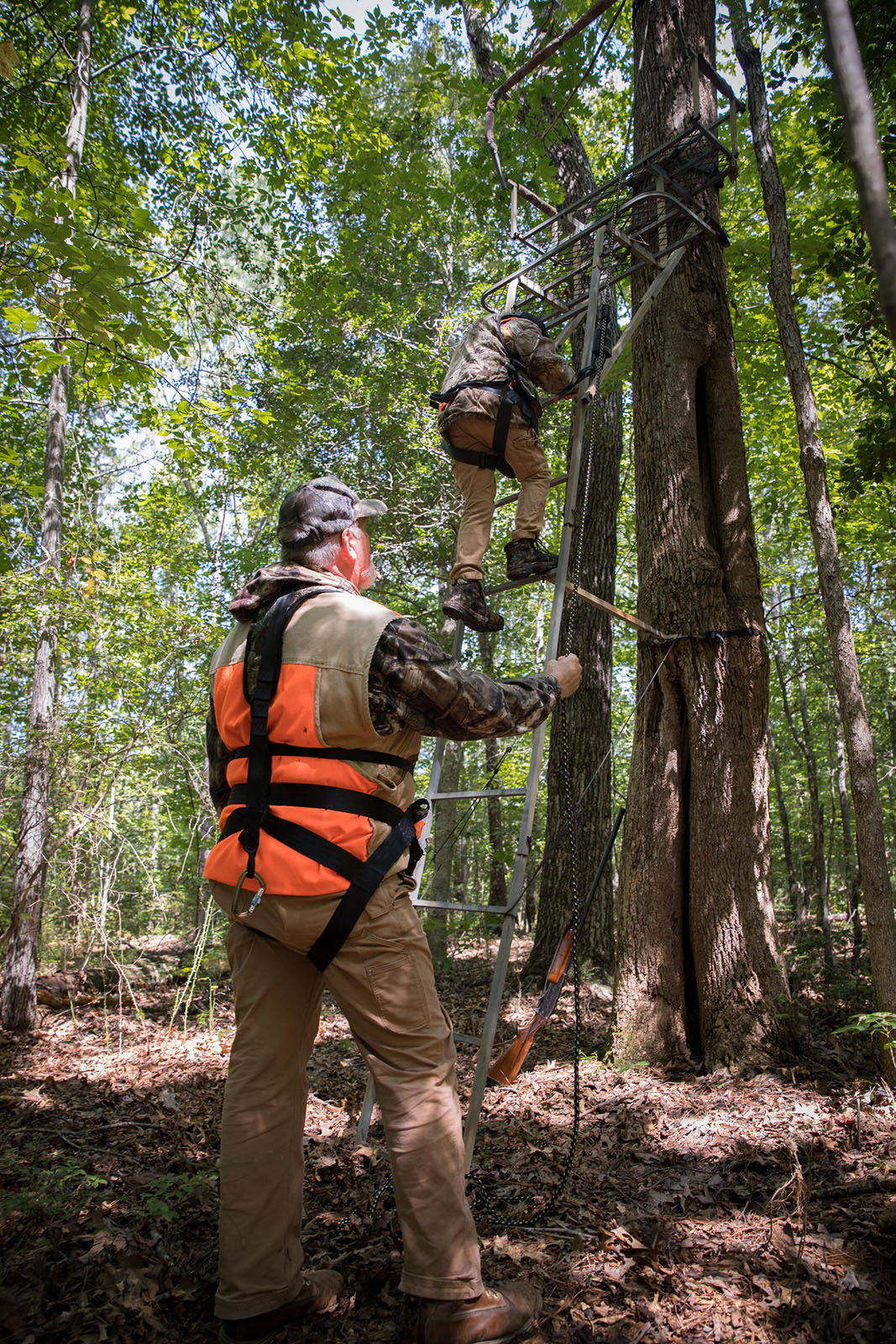 Isang larawan ng isang matandang lalaki na nakasuot ng blaze orange at isang safety harness na nanonood habang ang isang kabataan ay umaakyat sa hagdan patungo sa isang treestand na nakasuot ng safety harness.