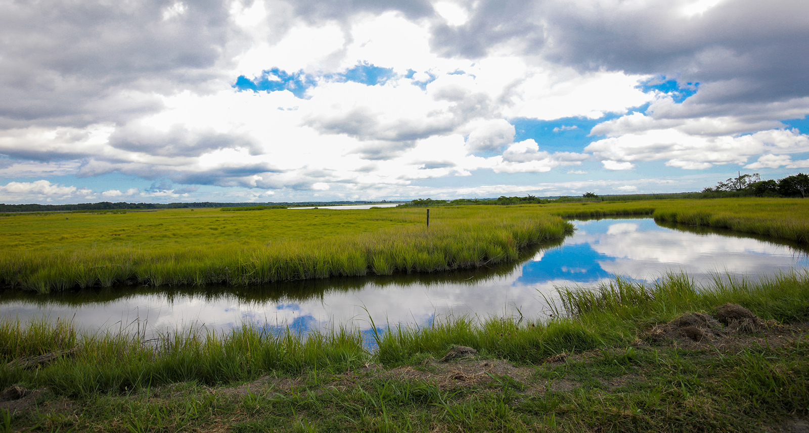Isang kapansin-pansin na larawan ng isang daluyan ng tubig na dumadaloy sa marshland sa ilalim ng isang kaakit-akit na asul na kalangitan.