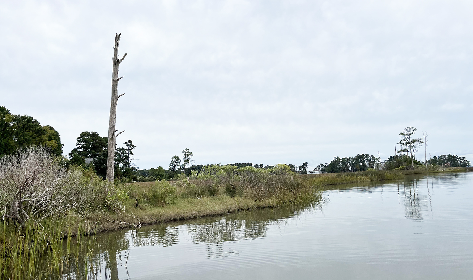Isang larawan ng isang marshy na piraso ng lupa na nakakatugon sa tubig.