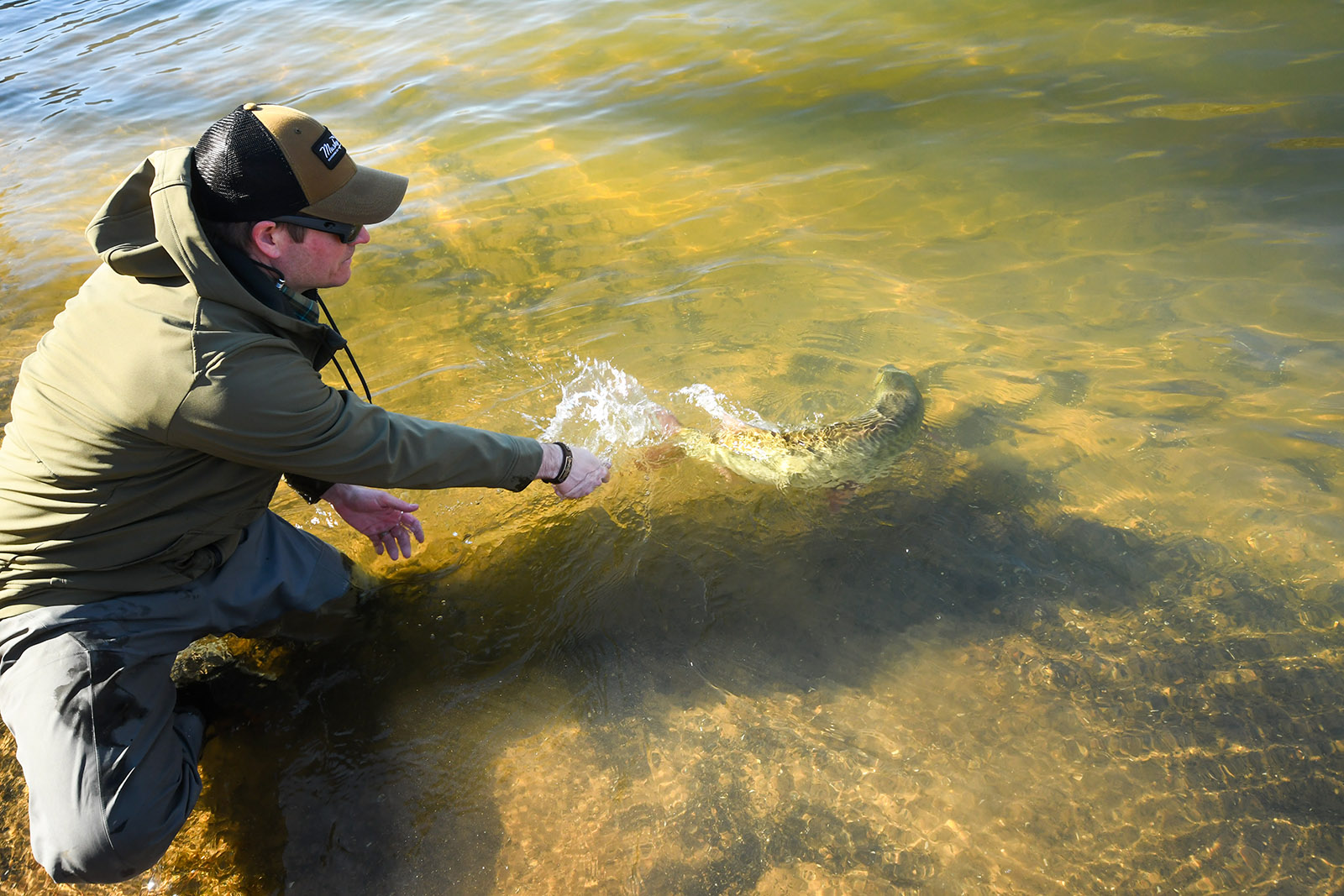 Isang larawan ng isang lalaking nakaluhod sa tubig na nakaunat ang mga kamay, na may musky na lumalangoy.