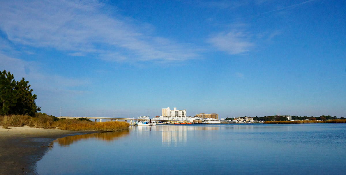 Ang tanawin mula sa Pleasure House Point Natural area
