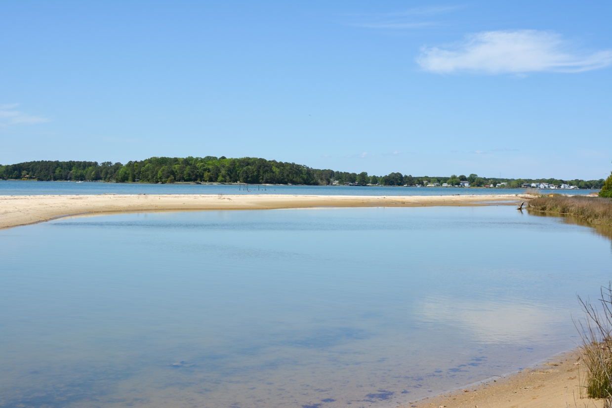 Isang liblib na lugar ng tubig na inalis mula sa agos sa pamamagitan ng sand bank sa Dameron Marsh Nature Preserve