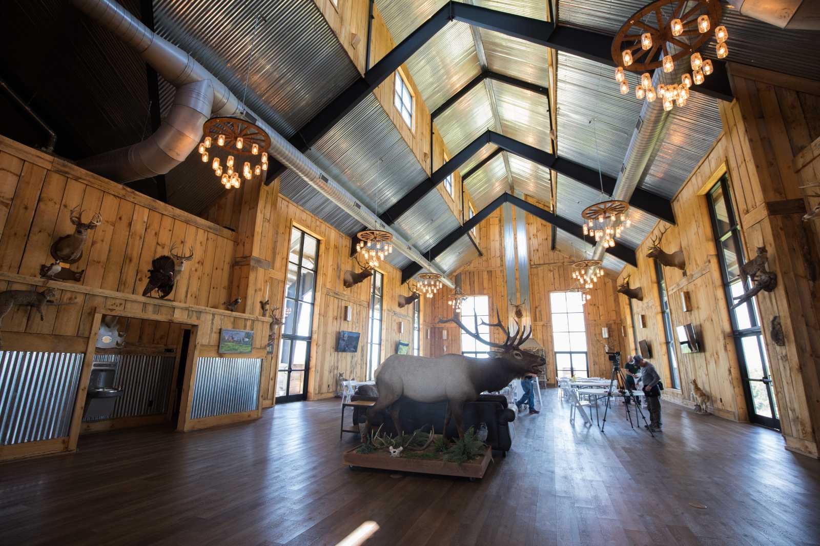 Isang larawan ng interior ng isang malaki at bukas na gusali na may naka-taxidermied na wildlife at malalaking bintana.