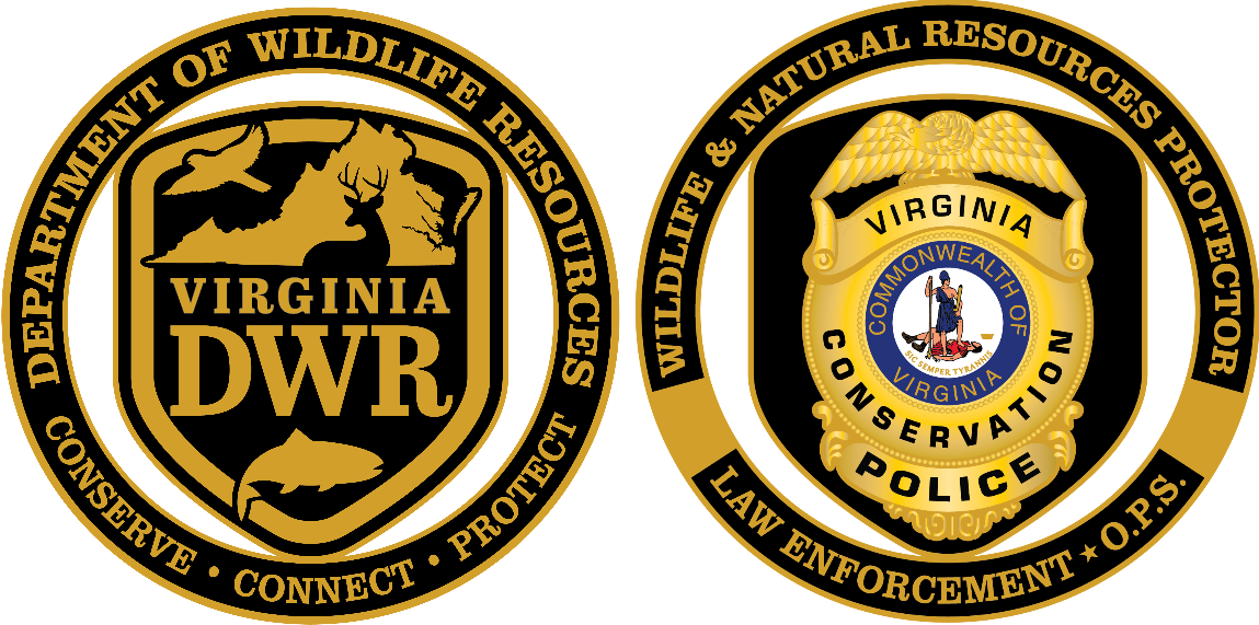 Isang graphic na representasyon ng challenge coin na may nakasulat na: Wildlife and Natural Resources Protector