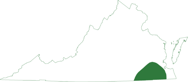 Ang oak toad ay matatagpuan sa timog-silangang bahagi ng coastal plain