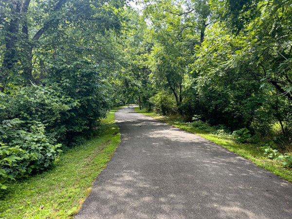 Ang sementadong trail ay humahantong palayo sa pantalan patungo sa isang makahoy na lugar kung saan ang mga kulay abong ibong pusa ay "mew" mula sa kasukalan. Credit ng Larawan: Lisa Mease