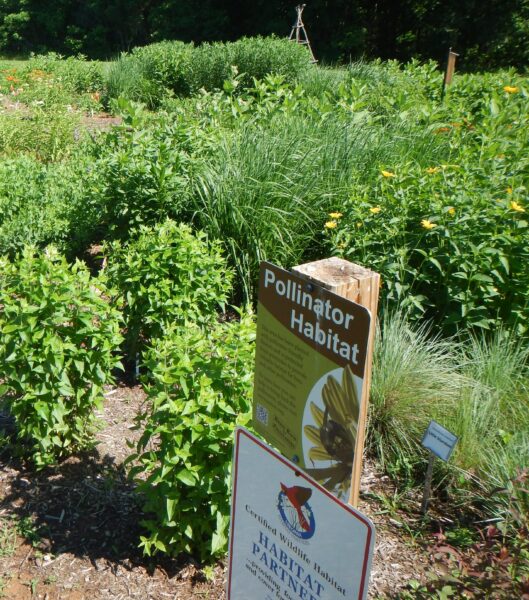 Pollinator Habitat Demonstration Garden sa Pleasant Grove Park,