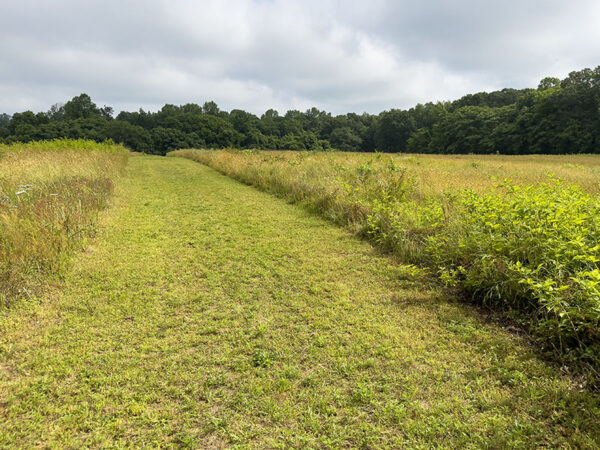 Isang seksyon ng 5K cross country course.