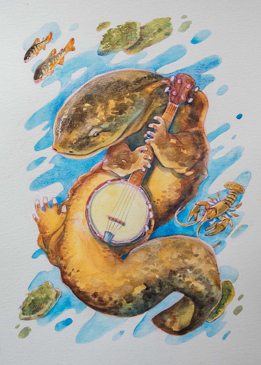 Ilustrasyon ng isang silangang hellbender na tumutugtog ng banjo