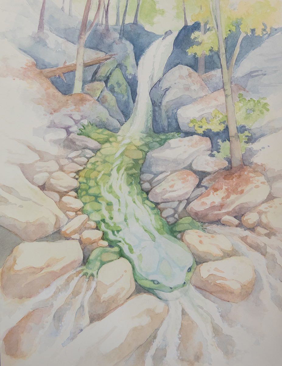 Isang watercolor painting ng isang hellbender na nanalo sa kategorya ng artistikong pagpapahayag