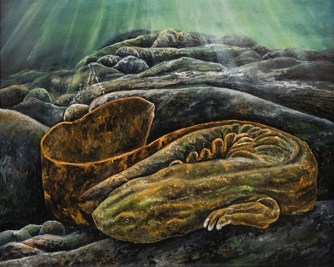 Isang oil painting ng isang Hellbender na nanalo sa natural history catagory