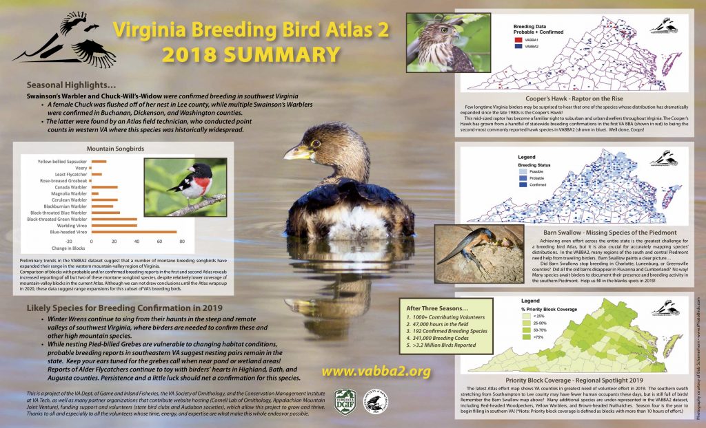 Season 2018 Huling Buod ng Virginia breeding bird atlas 2