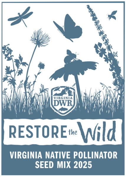 Isang pakete ng mga buto, na may label na Virginia Native Pollinator Seed Mix 2024