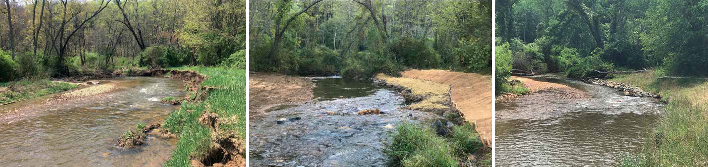 Isang larawan na isang collage ng tatlong larawan ng Crooked creek na pinatatag ang bangko gamit ang mga katutubong halaman bilang bahagi ng isang proyekto upang mapahusay ang tirahan nito