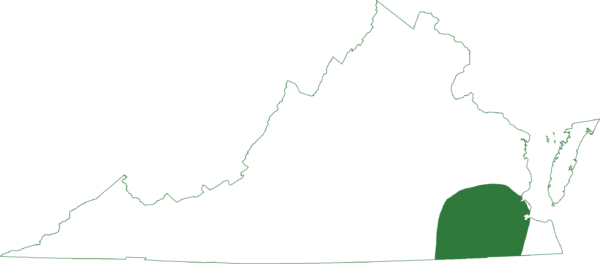 Ang southern chorus frog ay matatagpuan sa isang maliit na rehiyon ng southern coastal plain ng Virginia