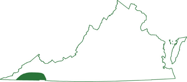 Isang imahe ng mapa ng southern zigzag salamander range; sila ay matatagpuan lamang sa ilang mga county sa Virginia.