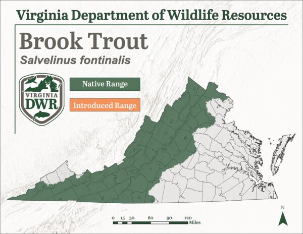 Pamamahagi ng katutubong Brook Trout sa Virginia