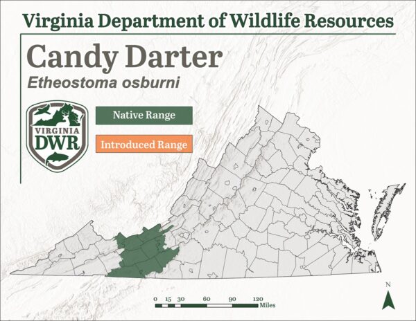 Mapa ng Pamamahagi ng Species para sa Candy Darter
