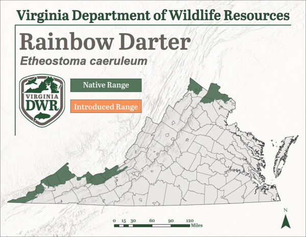 Ang isang specia distribution map na nagpapakita ng rainbow darter fish ay naninirahan lamang sa 5 maliliit na lugar ng Virginia sa hangganan ng estado sa dulong timog kanlurang lugar at sa ilang hilagang county.