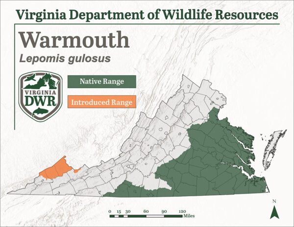 Species-Distribution-Warmouth