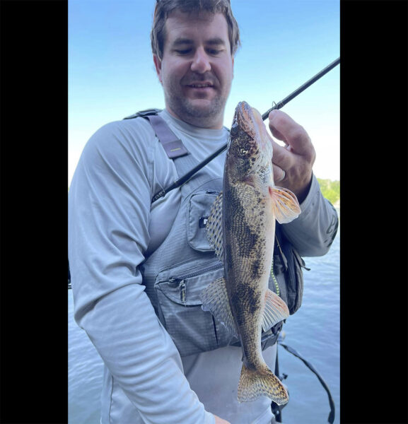 Isang imahe ni Sauger