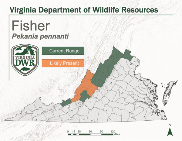 Mapa na nagpapakita ng pamamahagi ng mga mangingisda sa Virginia