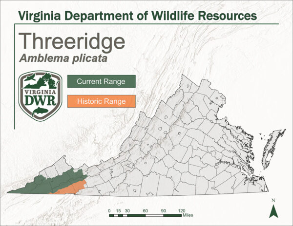 Isang mapa ng Virginia na nagpapakita ng kasalukuyan at makasaysayang hanay ng Threeridge. Ipinapakita nito ang parehong mga lugar sa dulong West point ng Virginia.