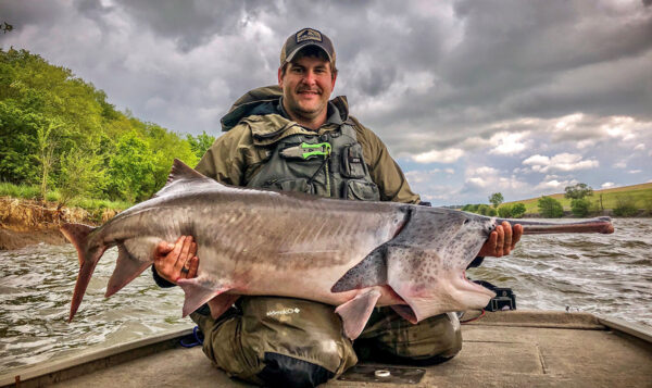 Isang imahe ng Paddlefish