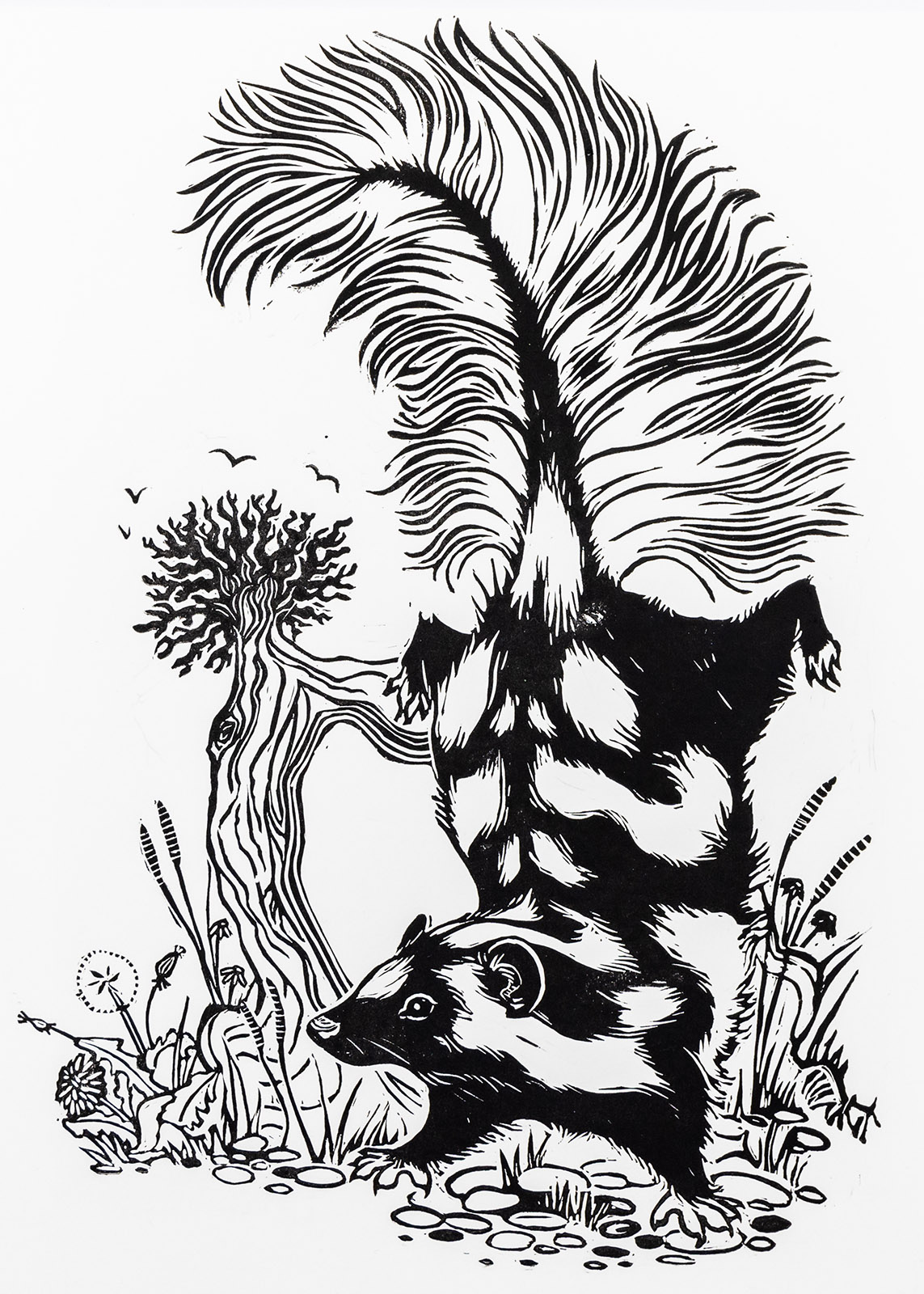Isang black-and-white print ng isang batik-batik na skunk na gumagawa ng handstand sa tabi ng tuod ng puno.
